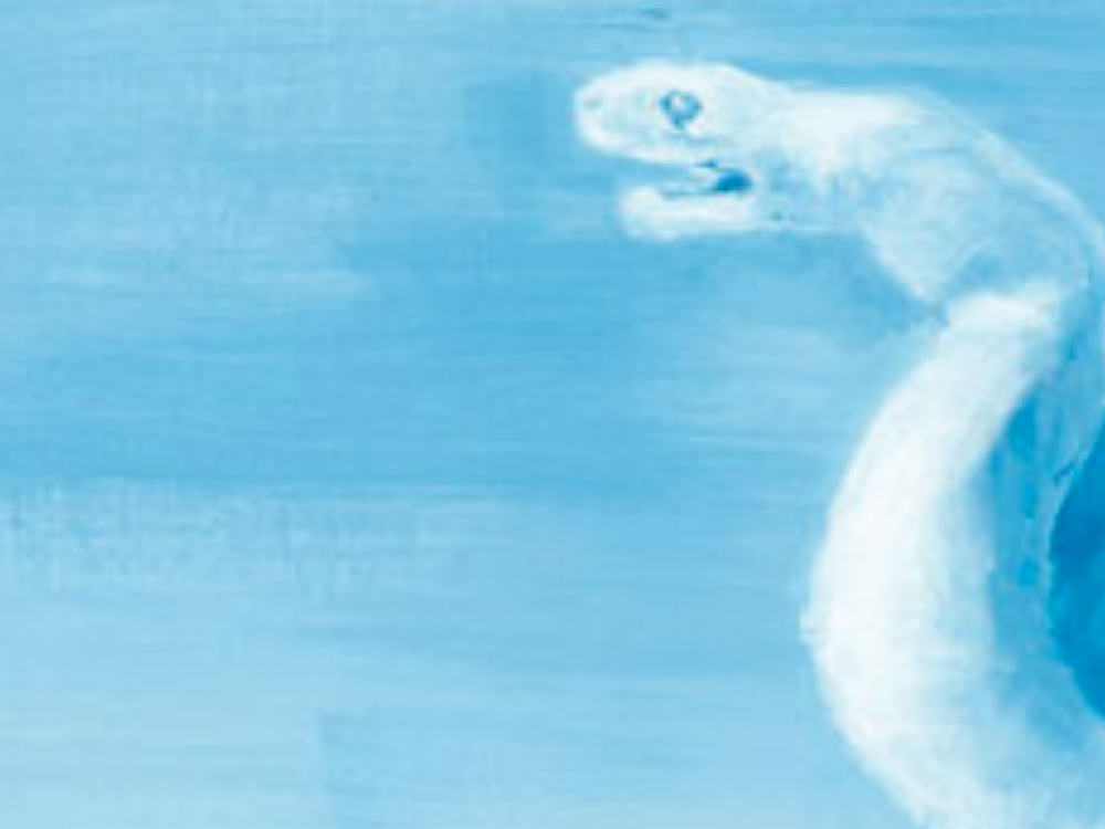 Erika Kronabitter | La Laguna